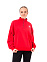 CAMPUS FRENCH TERRY QUARTER ZIP, джемпер 1.4 молния