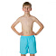 Шорты пляжные подростковые Speedo Challenge 15" Watershort