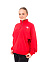CAMPUS FRENCH TERRY QUARTER ZIP, джемпер 1.4 молния