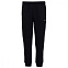 Брюки мужские Champion Rib Cuff Pants