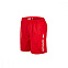 Шорты подростковые Speedo Challenge 15" Watershort