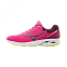 Кроссовки женские Mizuno Wave Rider 22 (W)