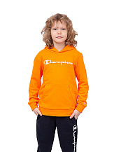 Hooded Sweatshirt, толстовка