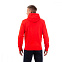 Толстовка мужская Champion Hooded Sweatshirt