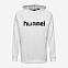 HMLGO COTTON LOGO HOODIE, толстовка