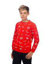 Crewneck Sweatshirt, джемпер