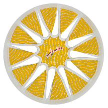 BREEZ RIDER пляж.диск