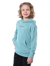 Hooded Sweatshirt, толстовка