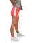 Shorts, шорты