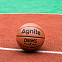 Мяч баскетбольный Agnite PU Basketball (Chronos) №7 F1117