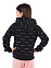 Hooded Sweatshirt, толстовка